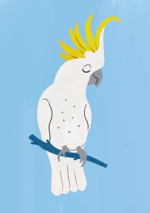 Papuga kakadu - plakat do pokoju dziecka 